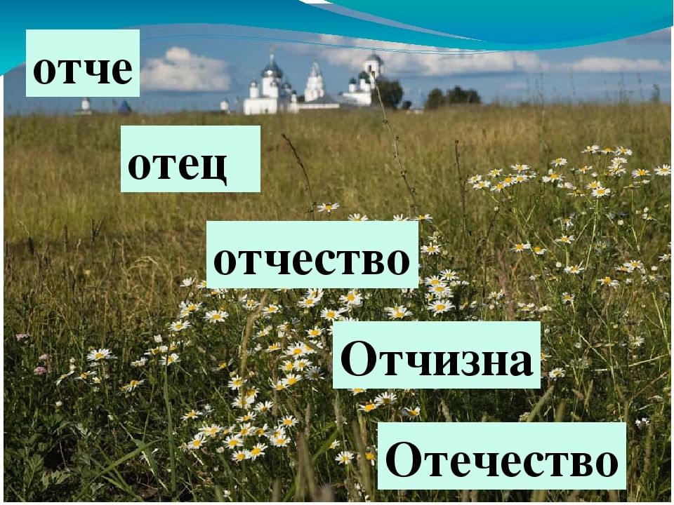 Международного инновационного проекта моя отчизна