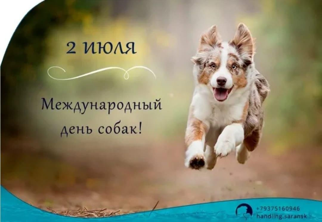 Международный день собак. 2023, Атнинский район — дата и место проведения, программа мероприятия.