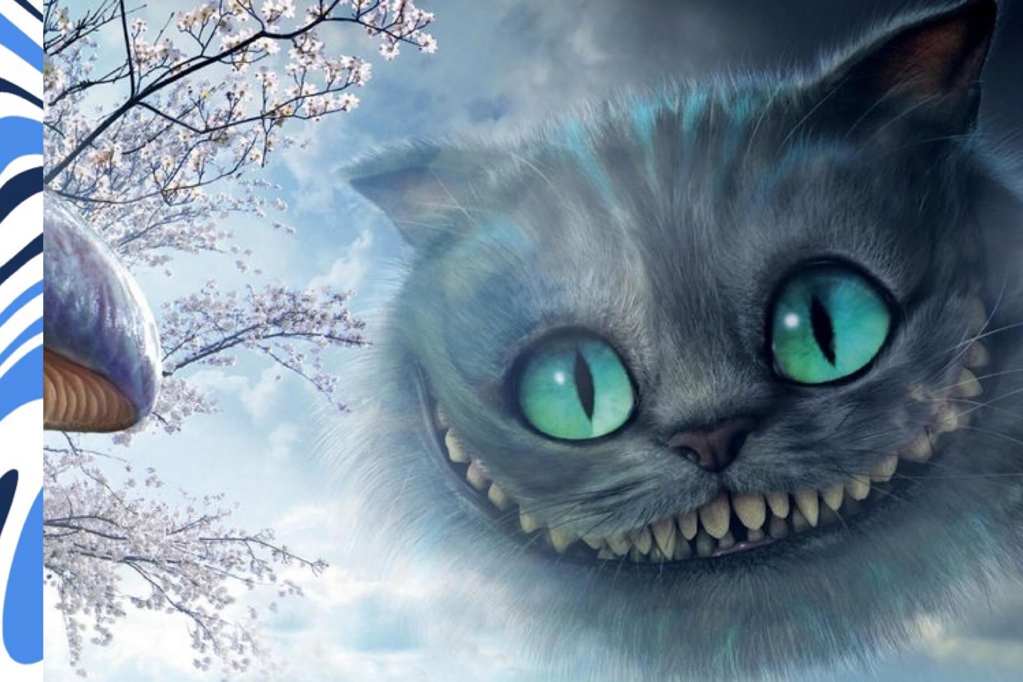 Скачать обои чеширский кот