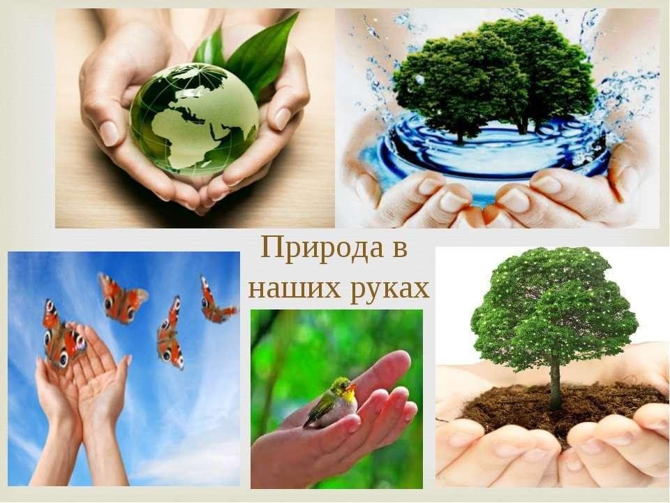 Мини проект природа и человек