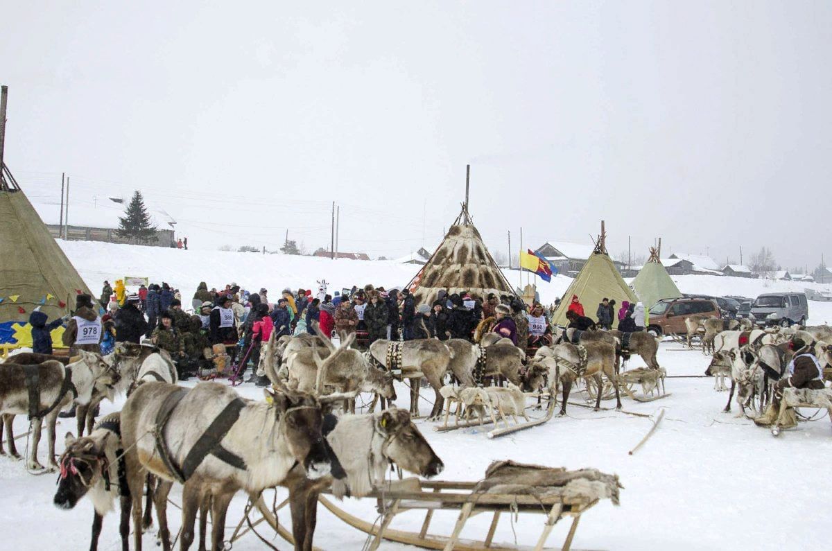 Толька красноселькупский район фото