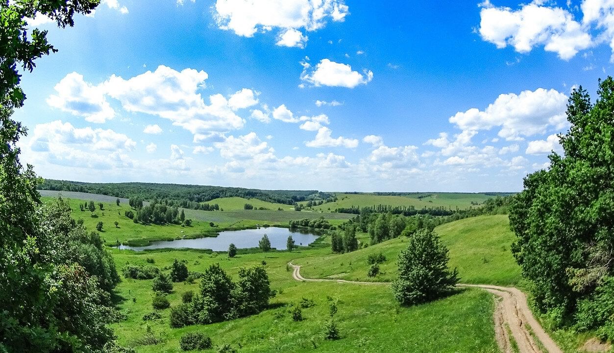 История родного края картинки
