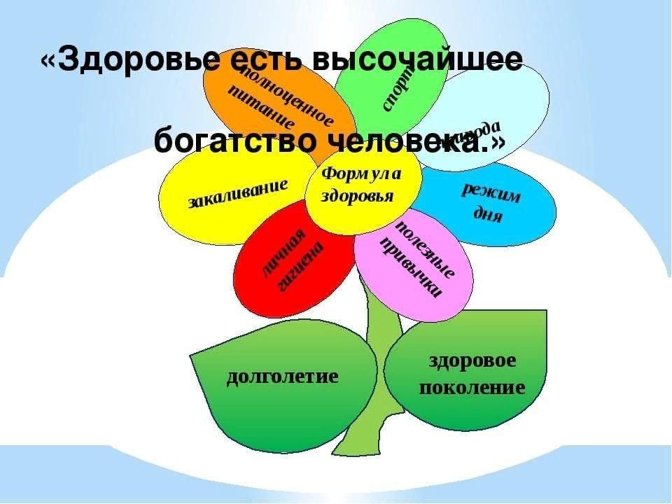 Проект зож 2 класс окружающий мир