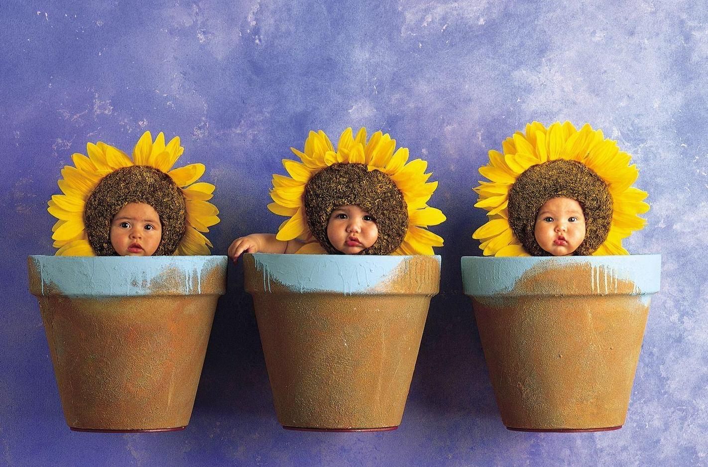 Anne Geddes младенцы