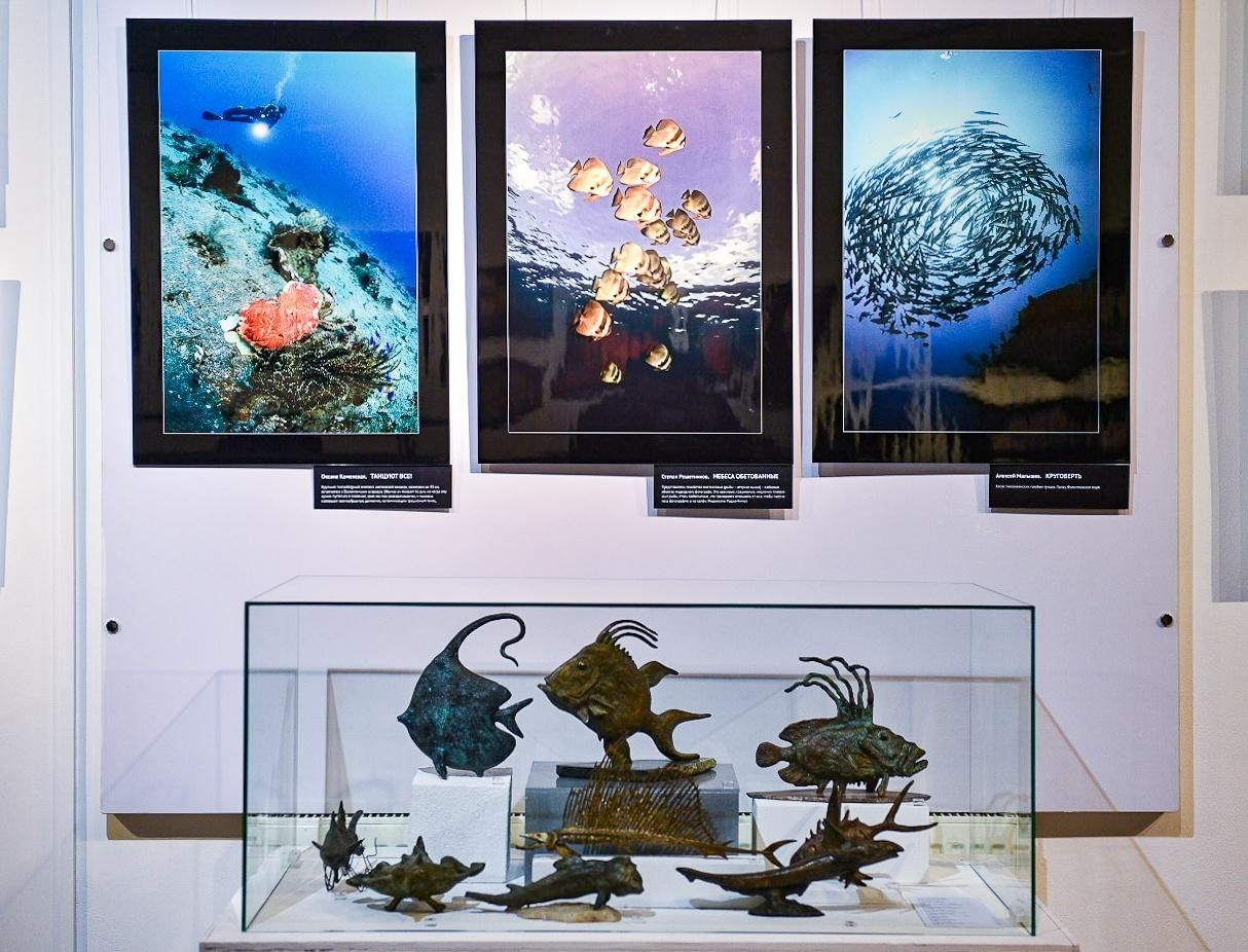 океанариум челябинск. выставка подводный. выставка рыб «подводный мир» липецк. выставка рыб «подводный мир» липецк. выставка рыб подводный мир.