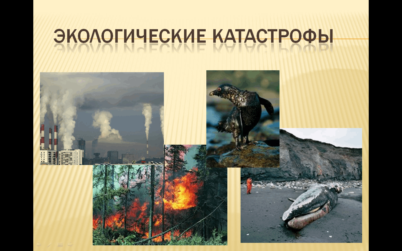 Экологические катастрофы фото картинки для презентации