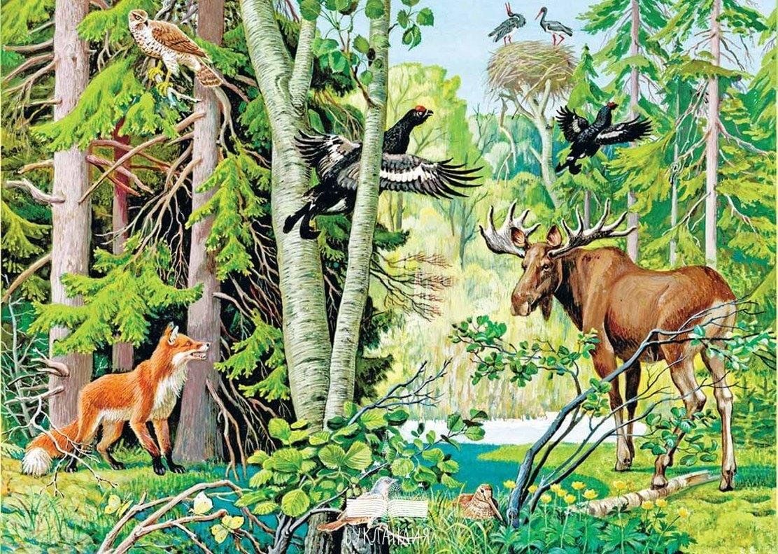 Лесосад. Часть № 1 - знакомим с уникальным форматом развития участка