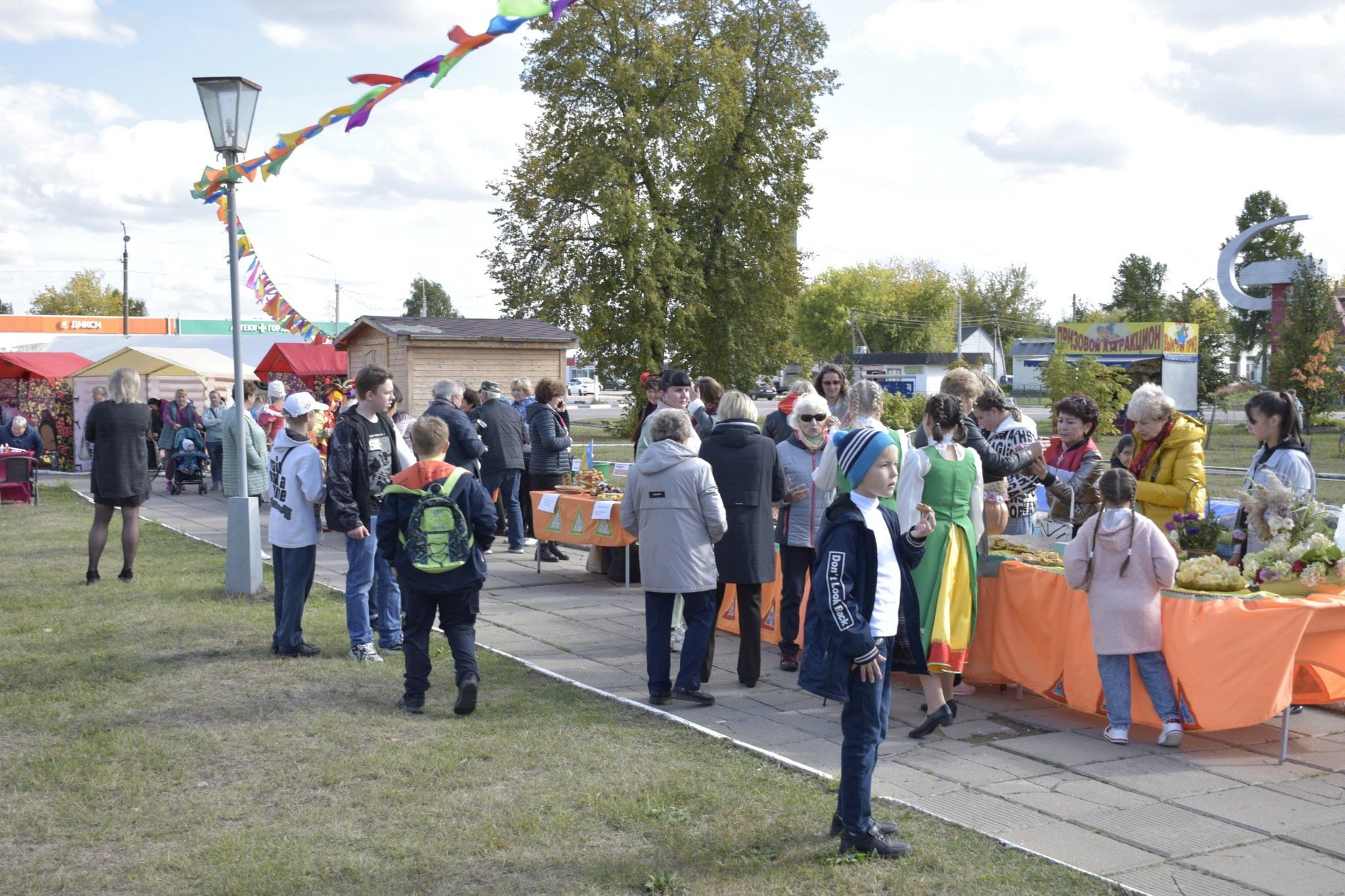 Дом Дмитровский Погост Шатурский район