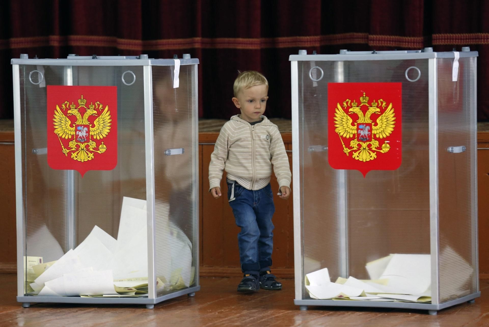 Картинка что такое выборы