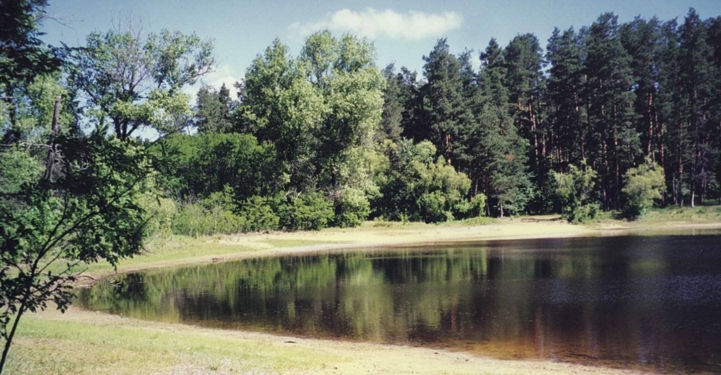 Хреновской Бор заказник Воронежская область