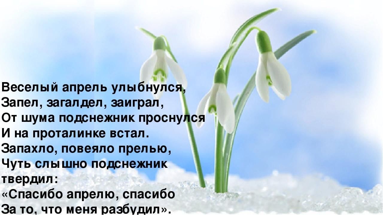 Мероприятие ко Дню подснежника