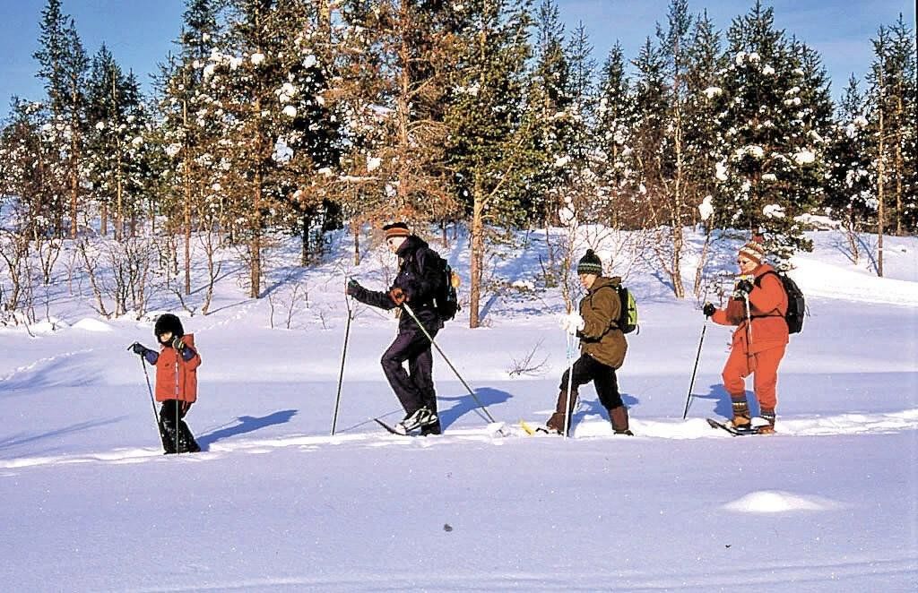 Семья лыжников. Прогулка на лыжах. Катание на лыжах в лесу. Лыжная прогулка в лесу. Лыжники на прогулке.