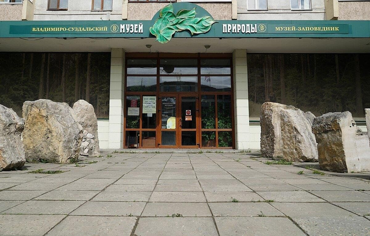 Музей природы ул мира 19 владимир фото