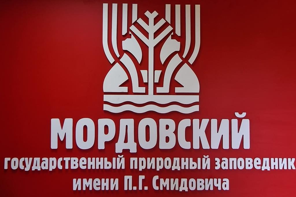 Заповедник смидовича мордовия фото Мордовский заповедник им. П.Г. Смидовича" Видеоэкскурсия 2023, Теньгушевский рай