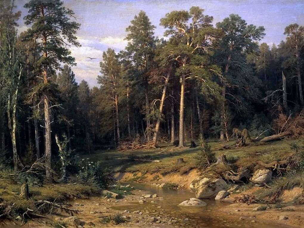 Иван Шишкин. Сосновый бор. Мачтовый лес в Вятской губернии. 1872. Государственная Третьяковская галерея, Москва