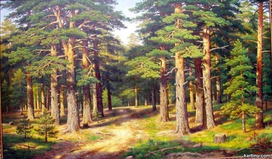 Картины живопись Владимира Бебия.