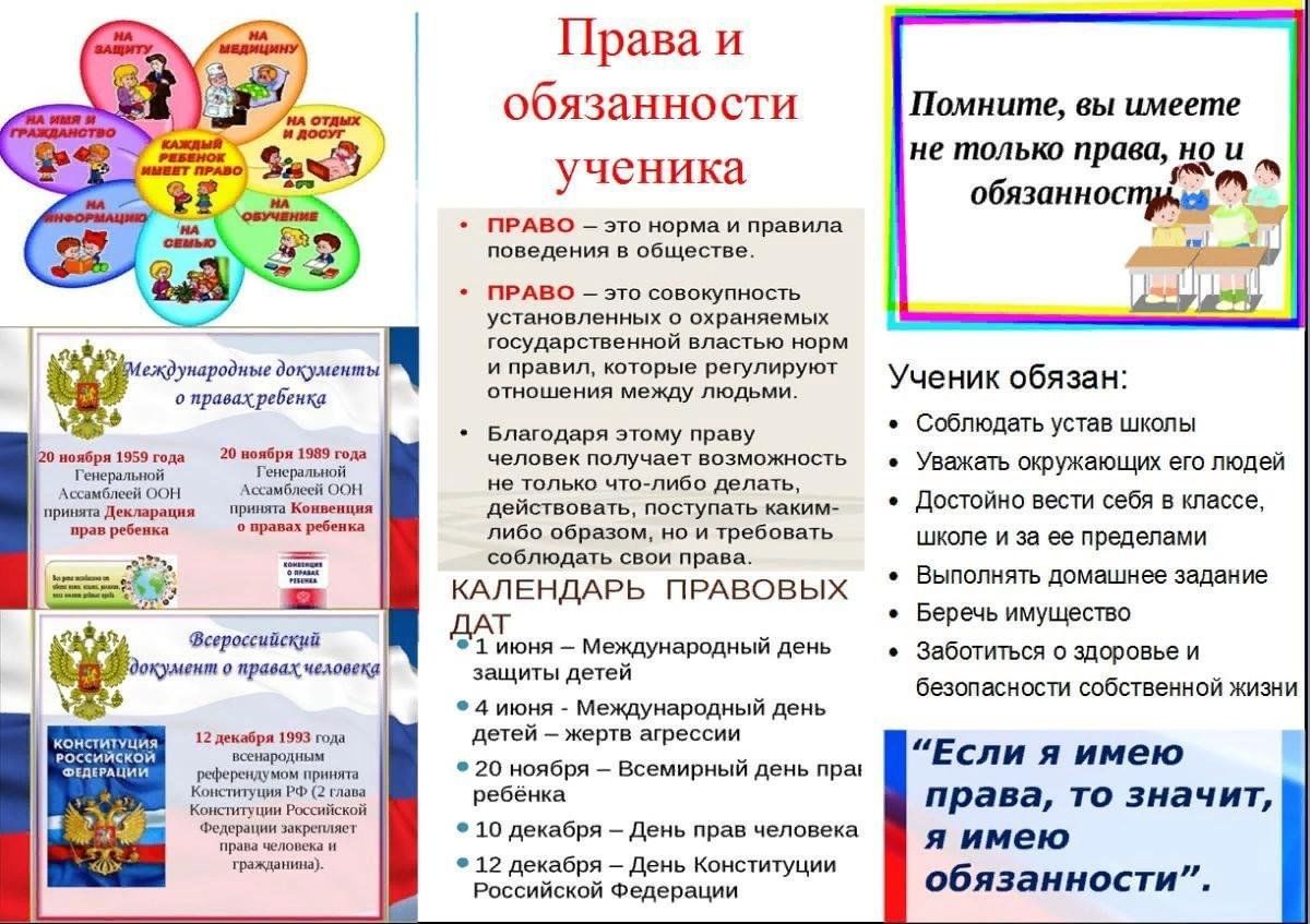 5 примеров прав и обязанностей