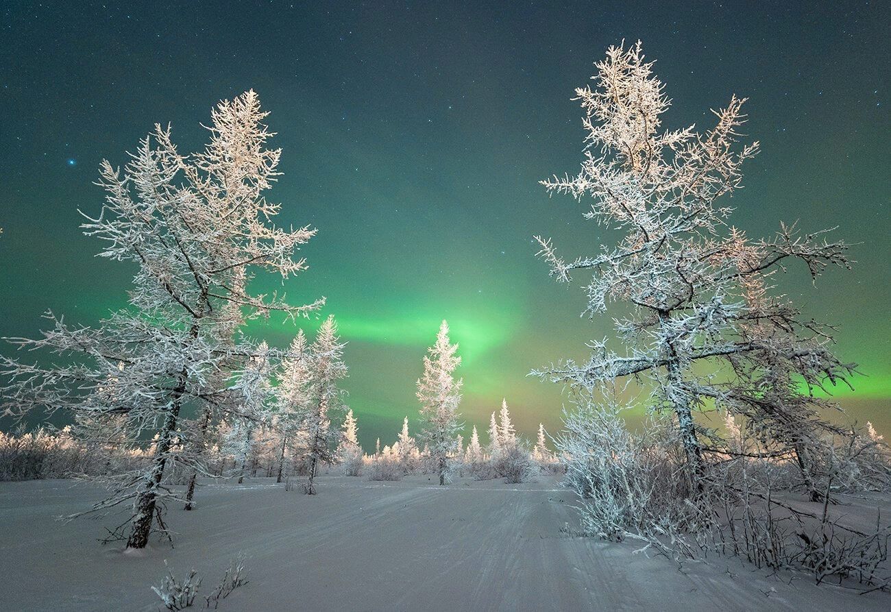 Название фото зима. Зимний ночной пейзаж. Красота зимы. Зимняя сказка. Ночной зимний лес.