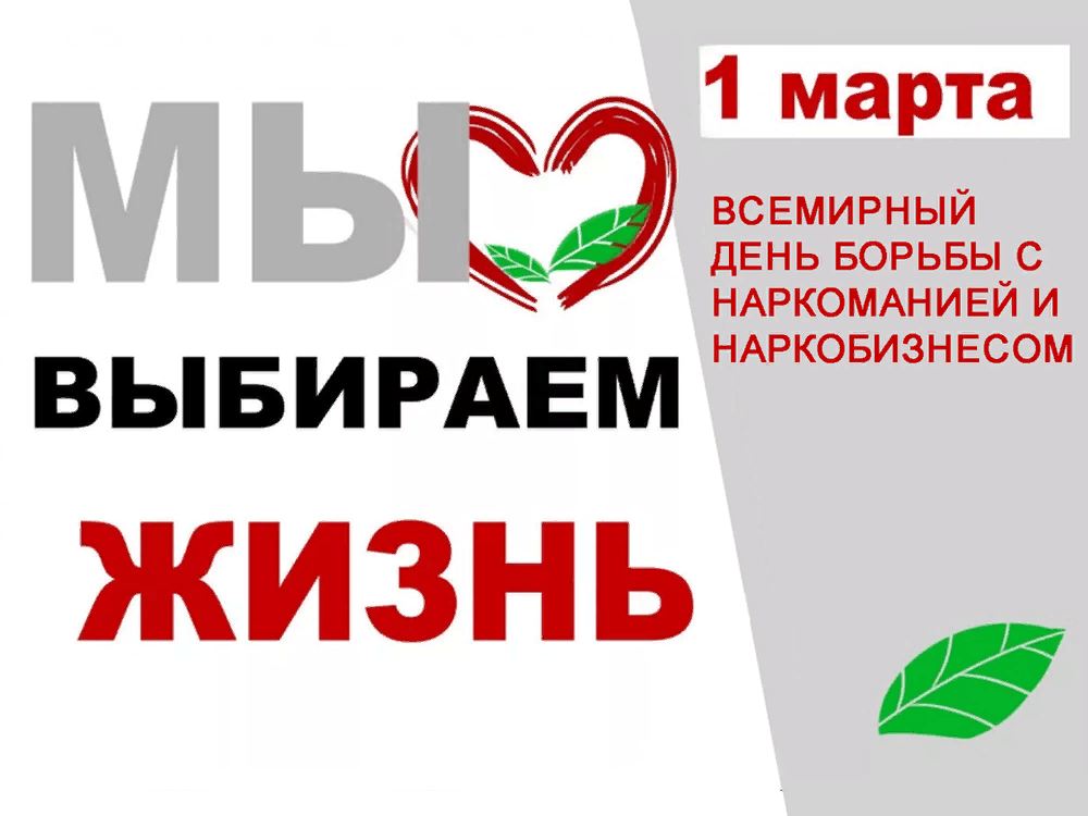 Последовательность и сроки выполнения работ в рамках социального проекта это