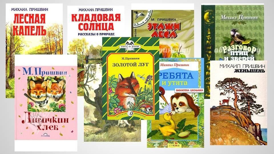 Кладовая солнца читать с картинками