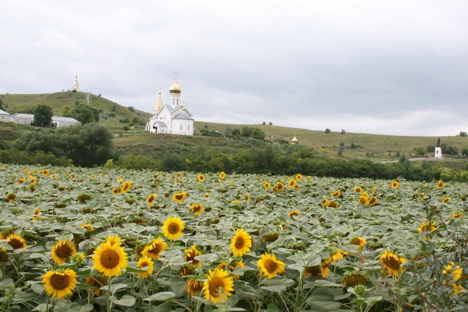 Белогорье Белгородская область пейзажи