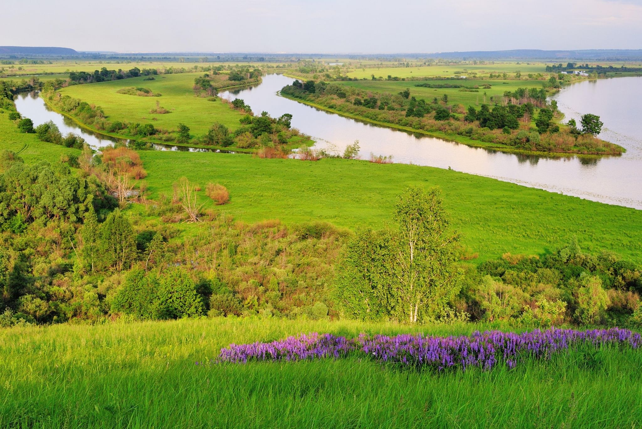 луга красивые места для