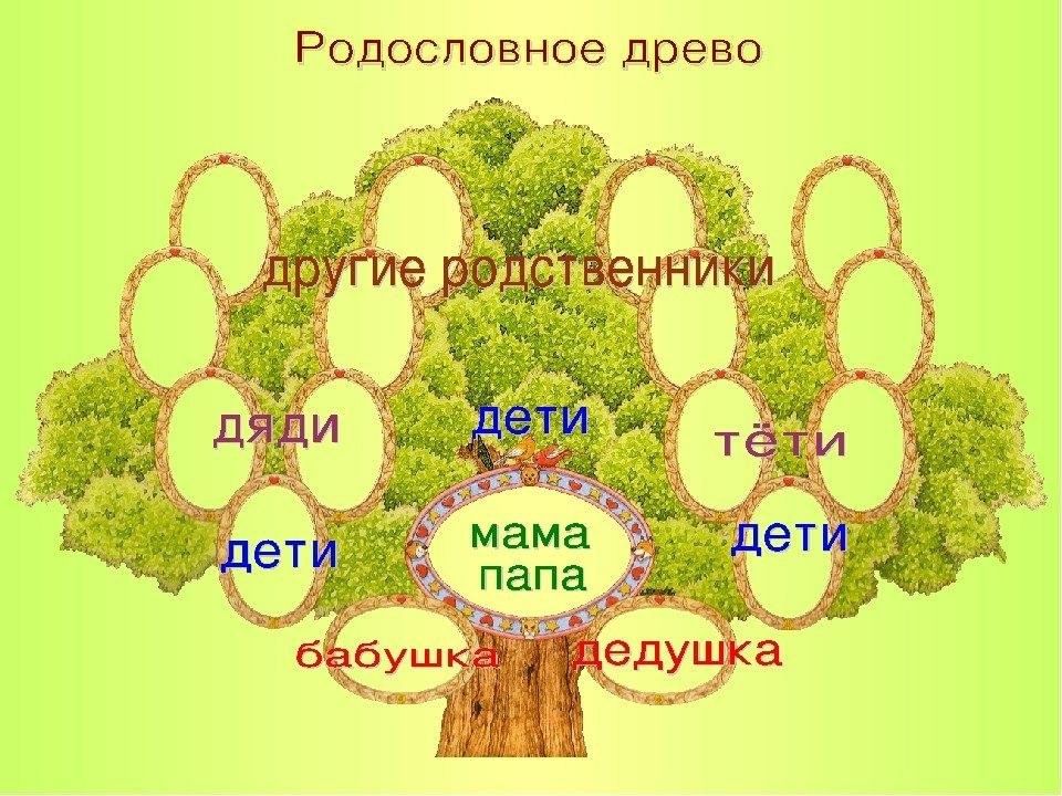 Древо 4. Моя семья моя родословная. Моя родословная генеалогическое Древо. Проект на тему родословное. Мое генеалогическое Древо проект.