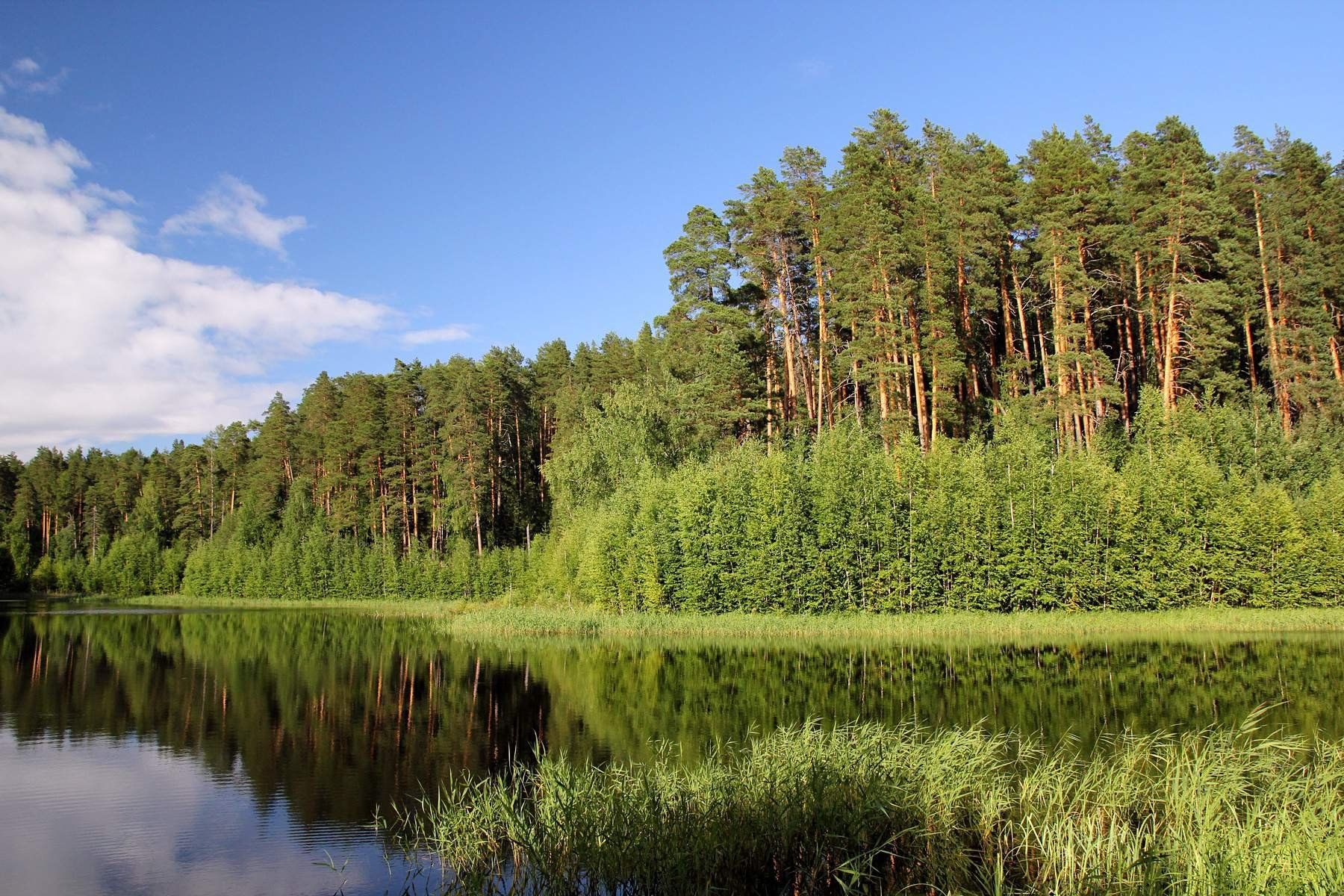 озеро лесное омск