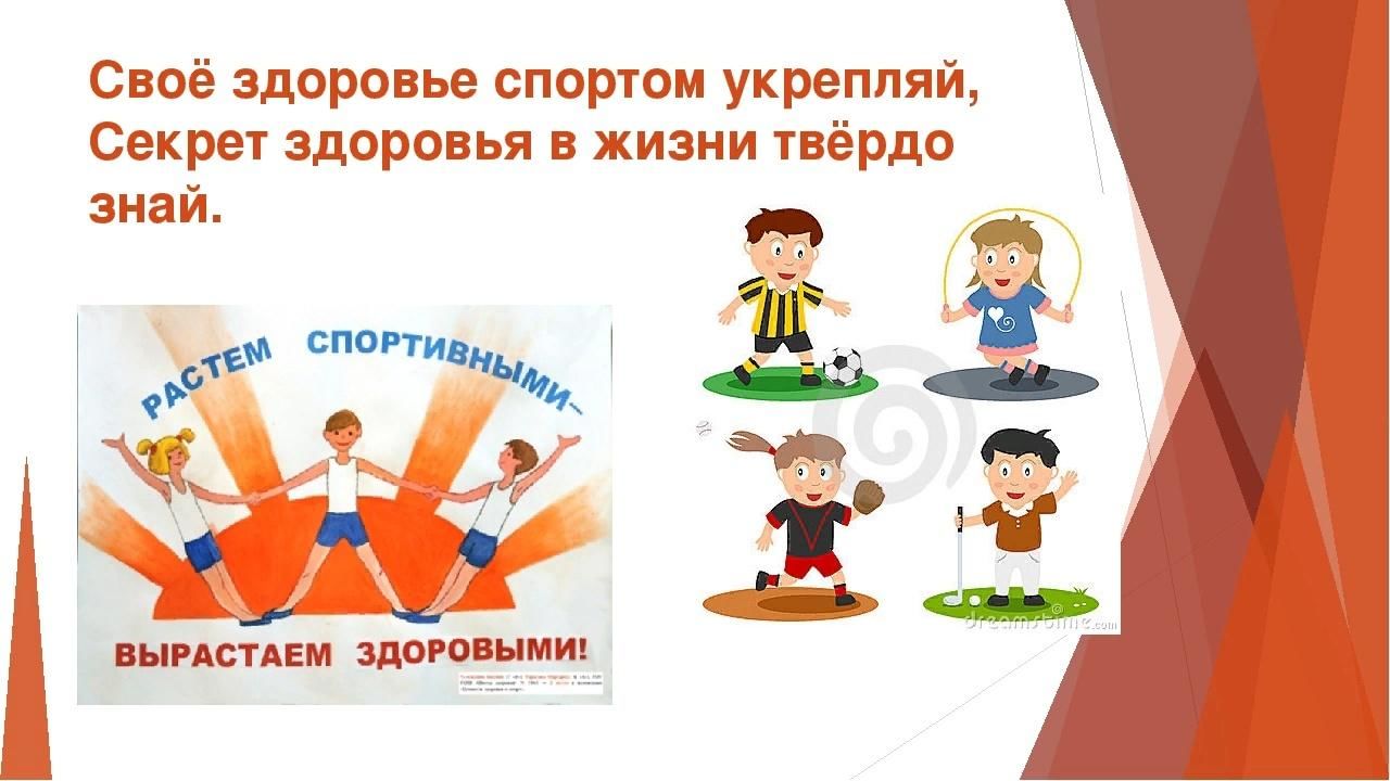 Проекты в физической культуре и спорте