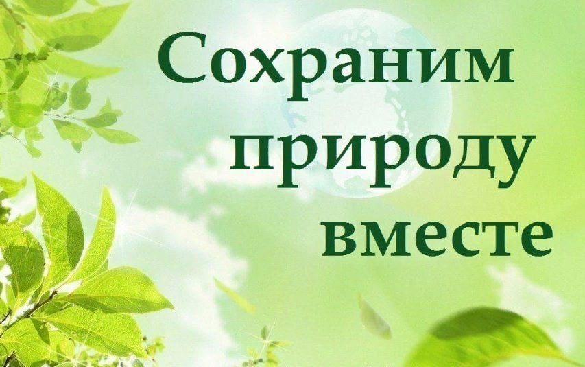 Сбережем природу вместе проект