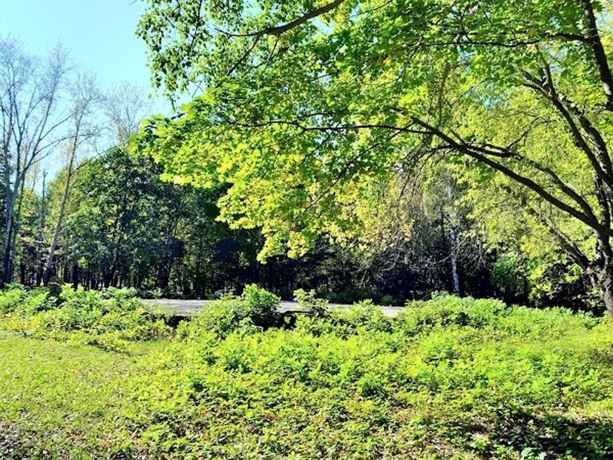 парк гагарина в рязани старые