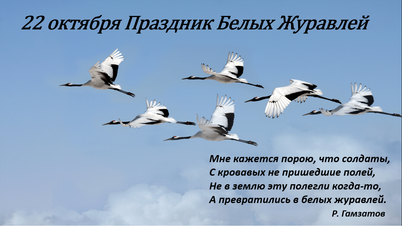 Презентация белые журавли