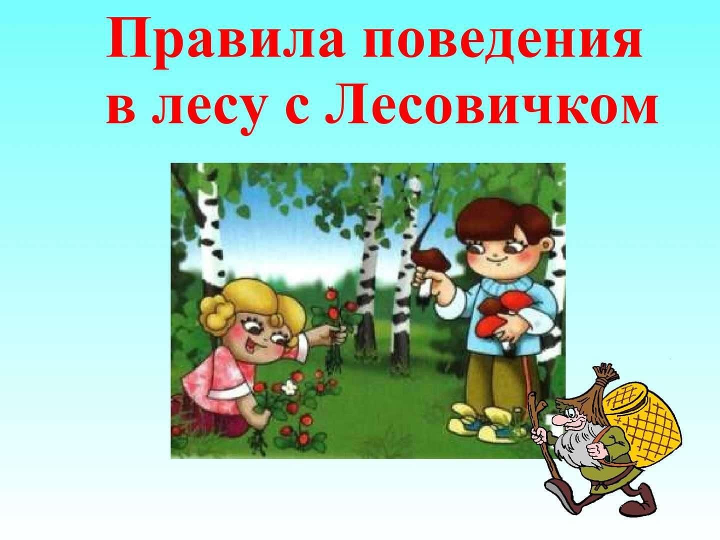 Правила поведения в природе презентация для начальной школы