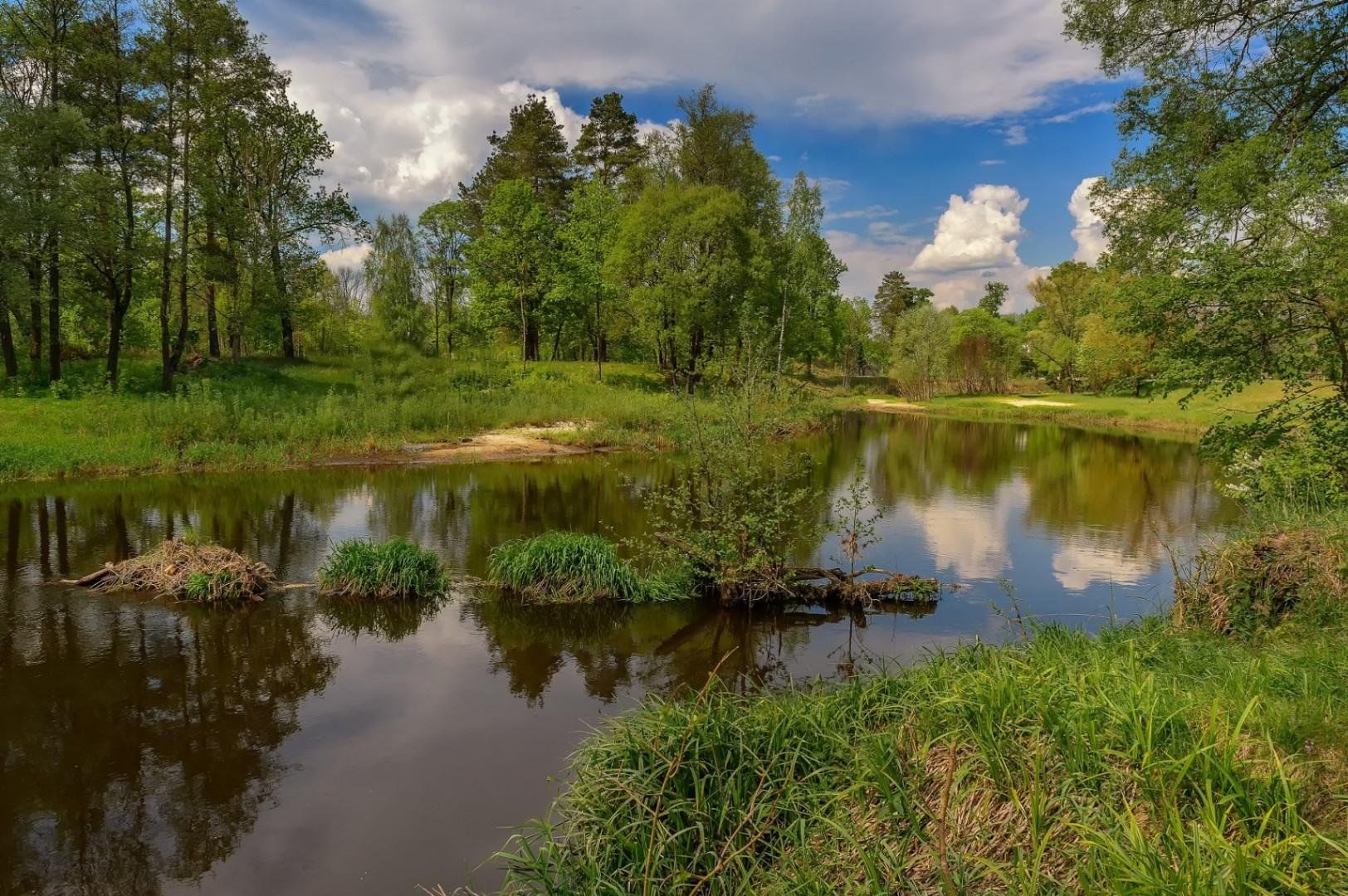 Природа группы. Река. Весна лес река. Ренки. Весенний лес у реки.