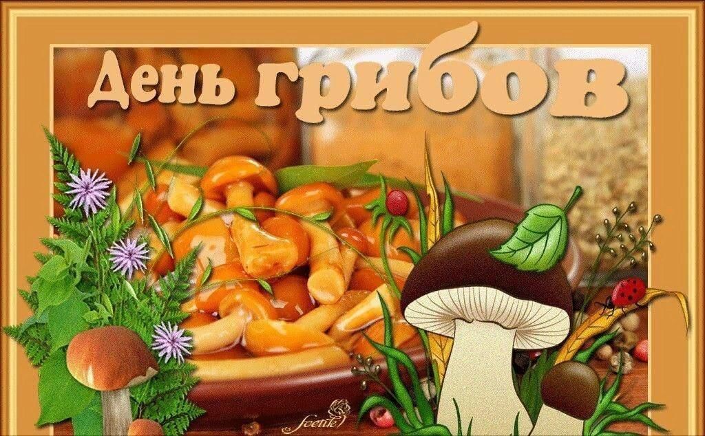 День грибов