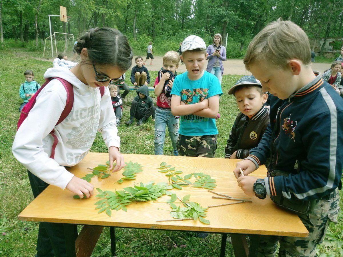 Экологический квест картинки