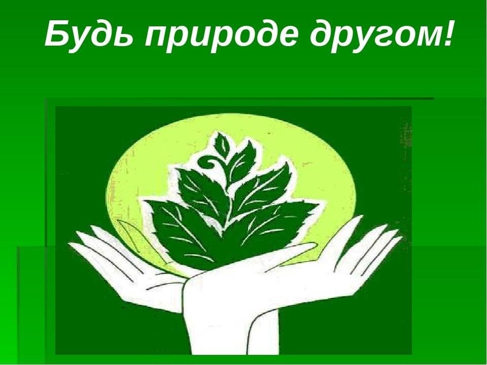 Будь природе другом 2 класс. Будь природе другом. Проект будь природе другом. Картинки на тему будь природе другом. Обложка будь природе другом.