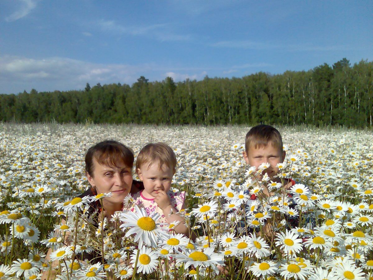 Семья в ромашковом поле