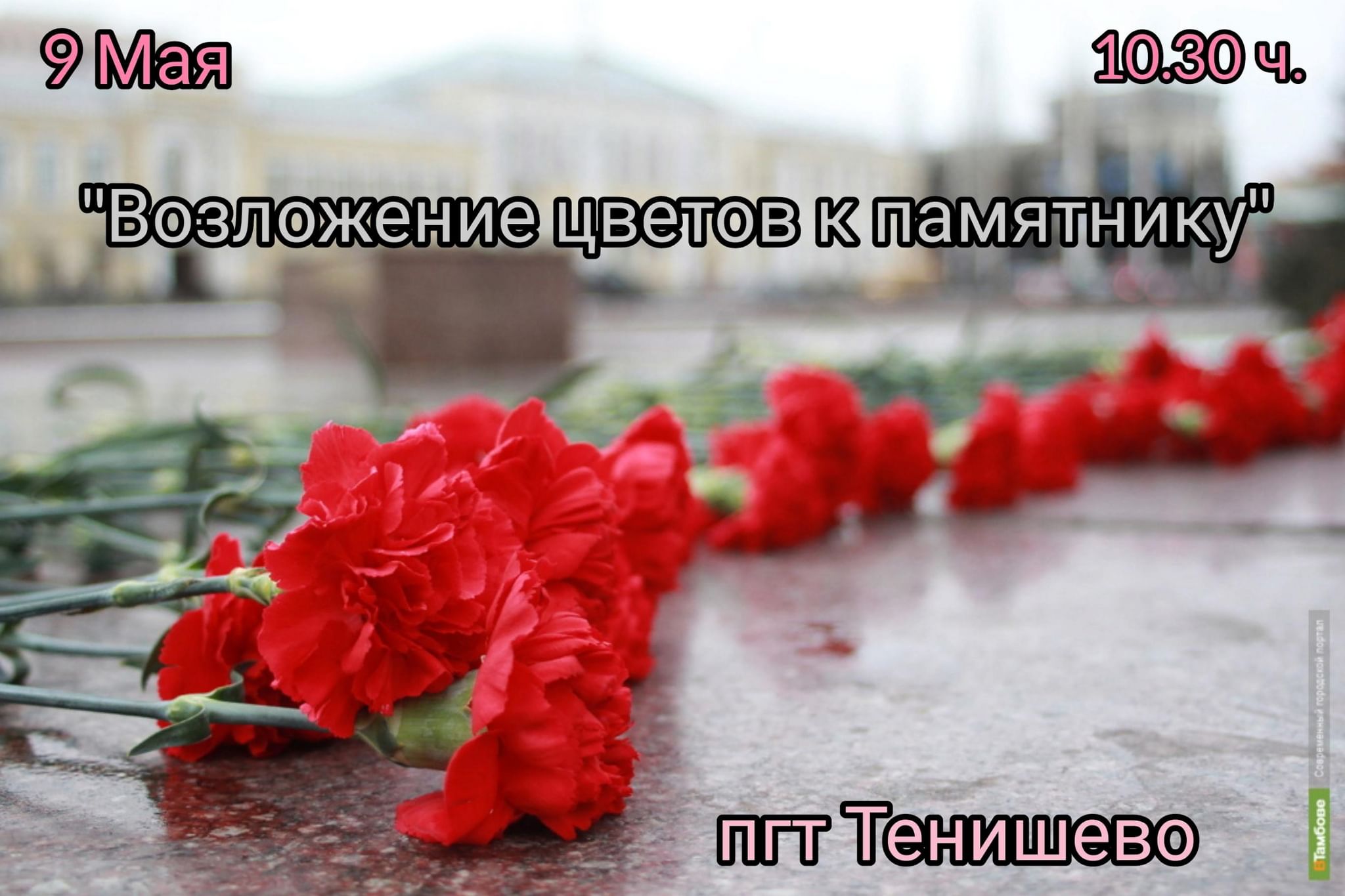 И гвоздики кладут. Возложение гвоздик к Вечному огню. Гвоздики на мемориале. Возложение цветов к памятнику. Цветы на мемориале.