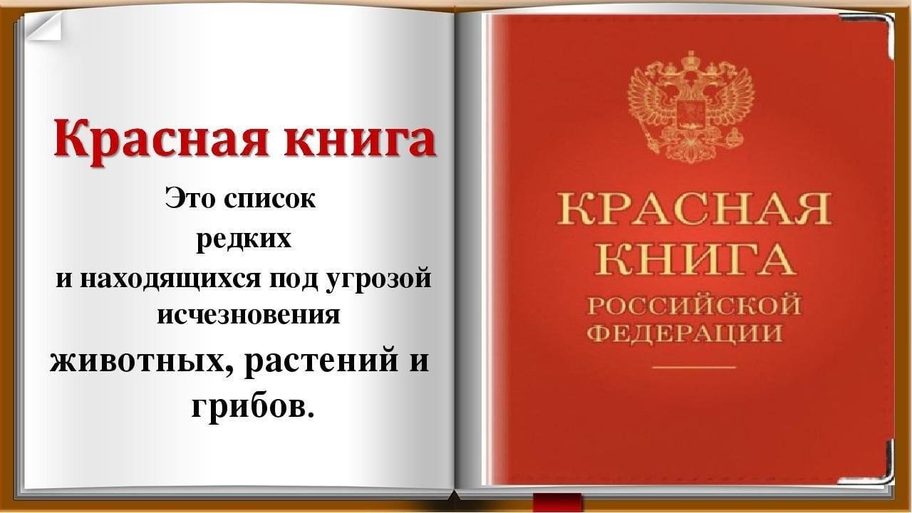 Изучение <b>красной</b> <b>книги</b>.