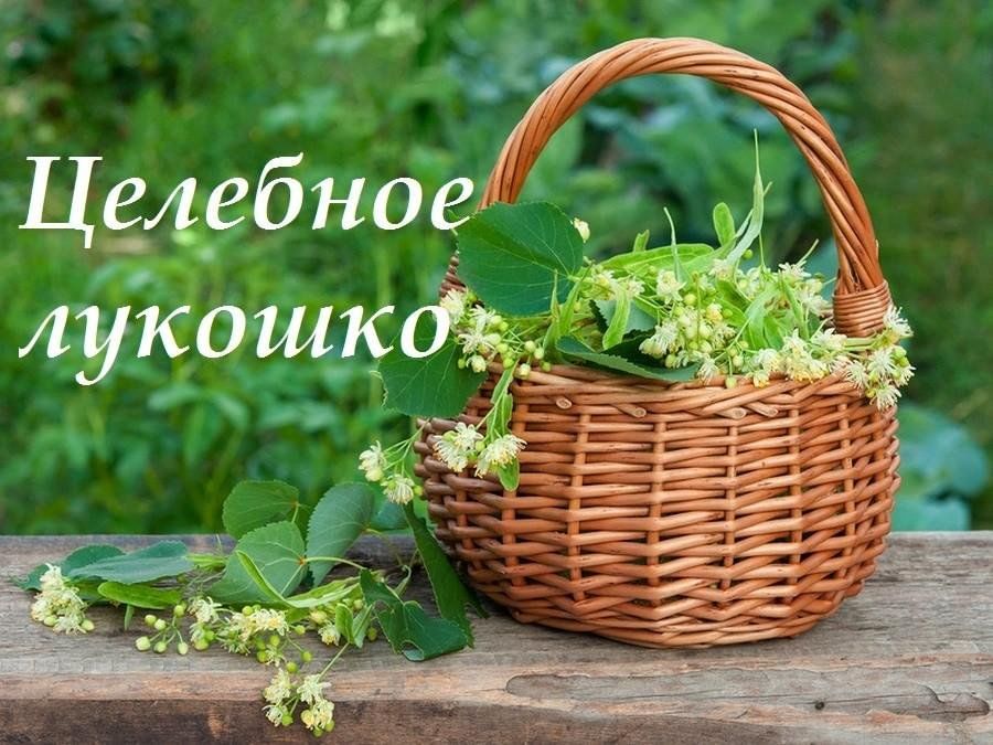 Целебное лукошко картинки