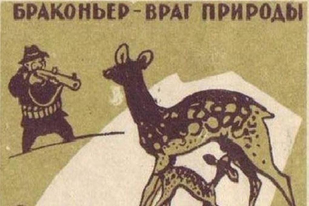 Картинки на тему браконьерство