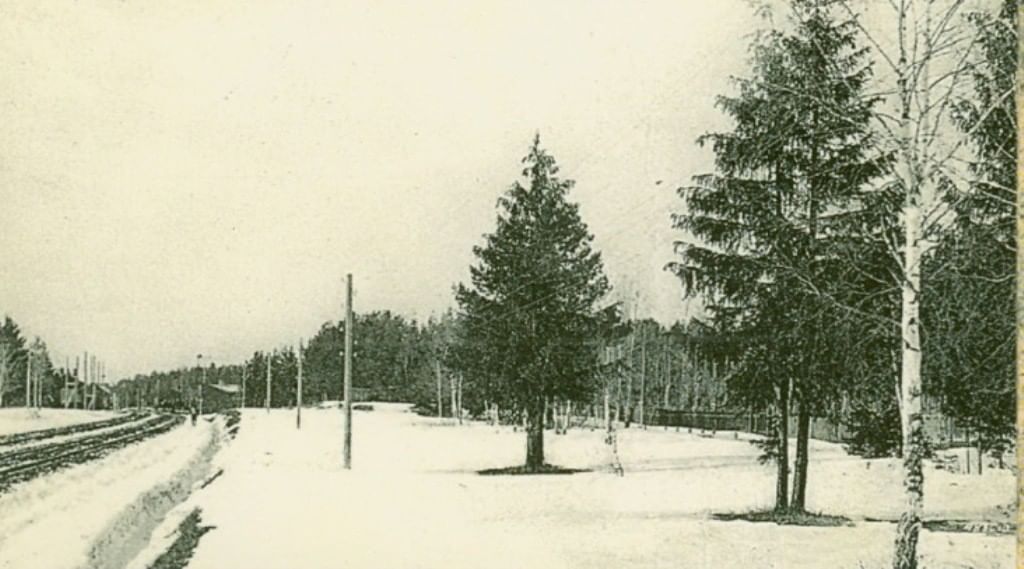 Малаховка прогноз. Музей поселка Малаховка. Малаховка 1900 год. Дачный поселок Малаховка. Малаховка 1930.