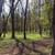 Щелковский городской парк культуры и отдыха