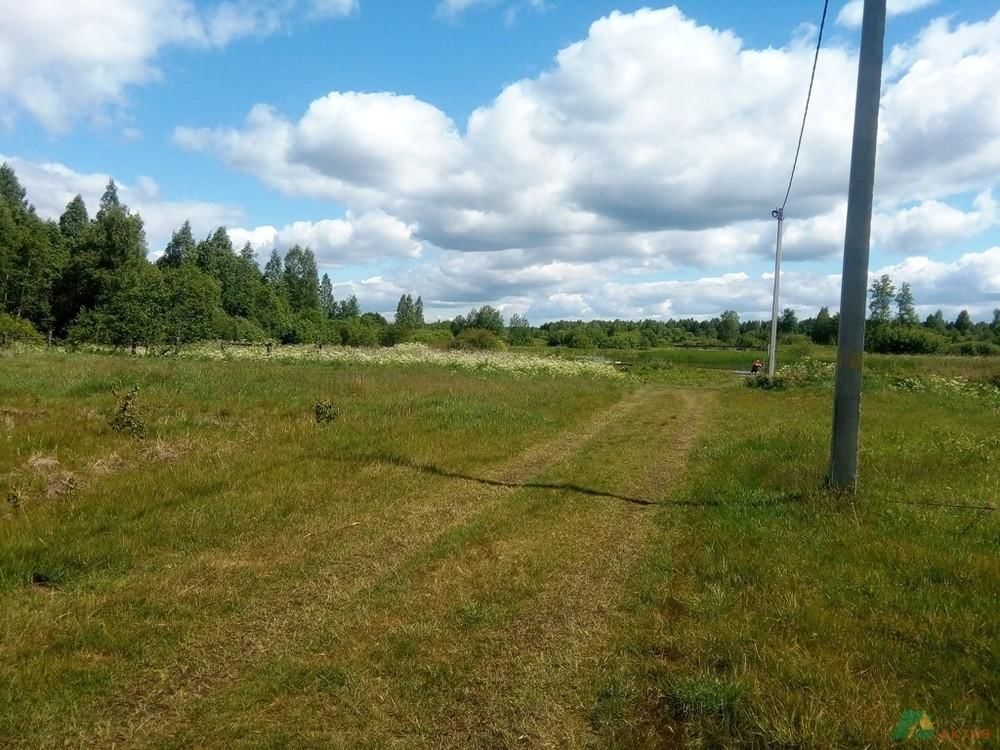 Село купань Переславский район