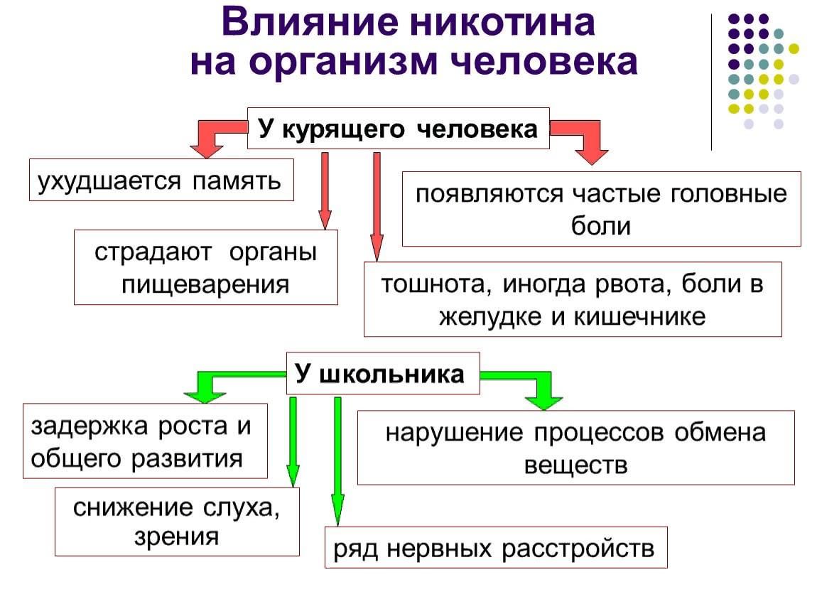 Какое действие на организм человека. Механизм действия никотина схема. Влияние никотина на организм. Механизм действия никотина на здоровье человека. Влияние никотина на системы органов.