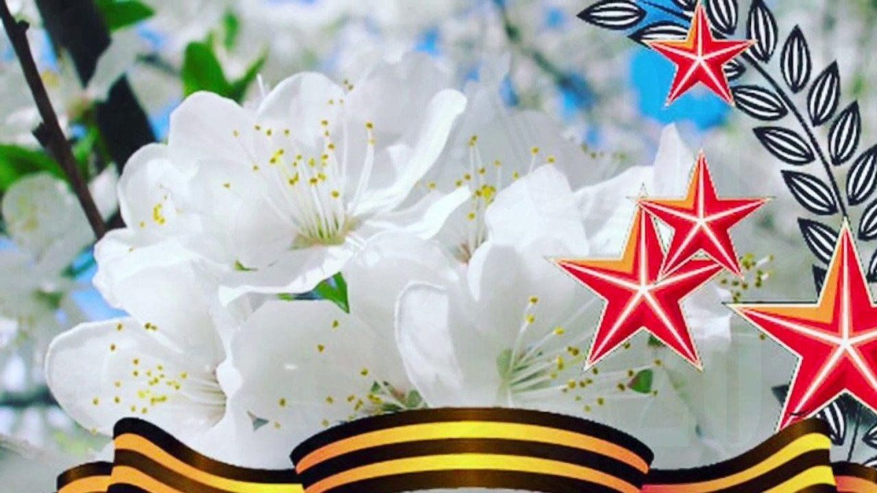 Победный май картинки