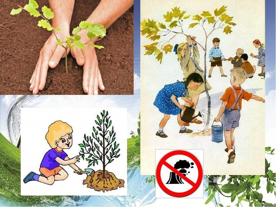 Спасти природу картинки