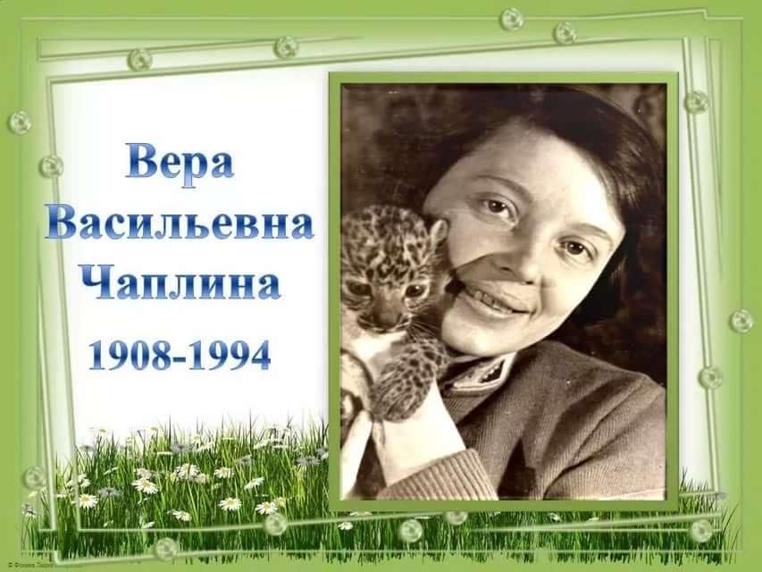 В чаплина презентация