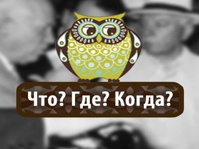 Сова из что где когда картинка - Фото подборки